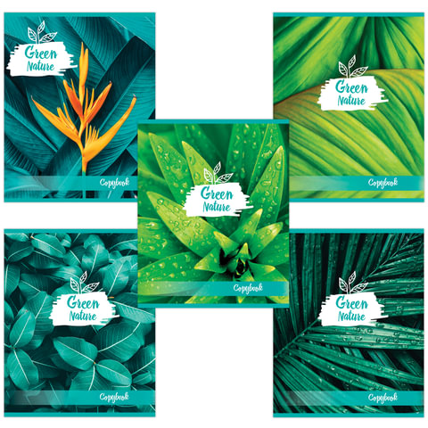 Тетрадь А5 48л, клетка, BRAUBERG GREEN NATURE 403033