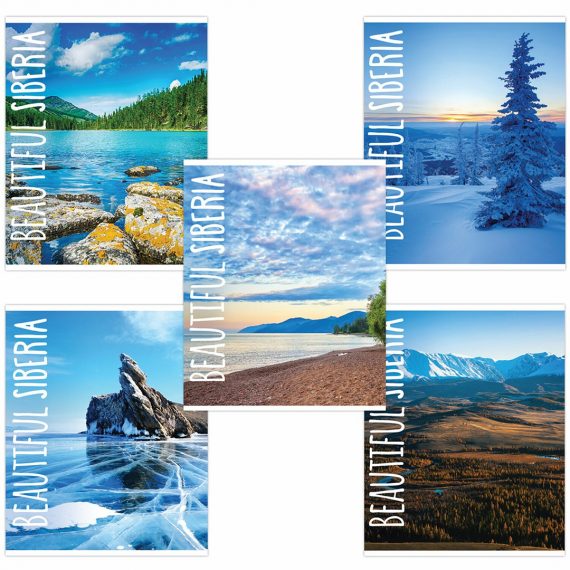 Тетрадь А5 48л, клетка, BRAUBERG Природа 403031